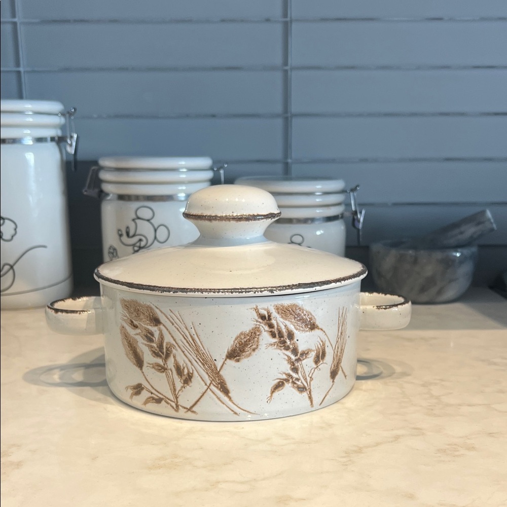 Vintage wild oats casserole dish by Midwinter Stonehenge Made in England.